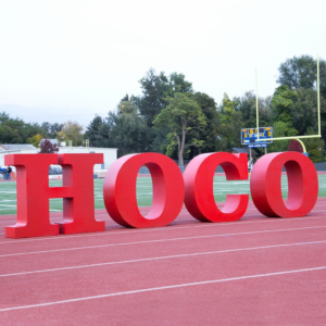 Outdoor HOCO school event letters - real event reference photo